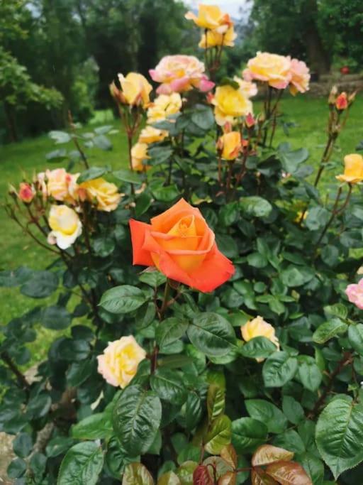 La Flor De Toranzo "Vive Los Valles Pasiegos" Prases Εξωτερικό φωτογραφία