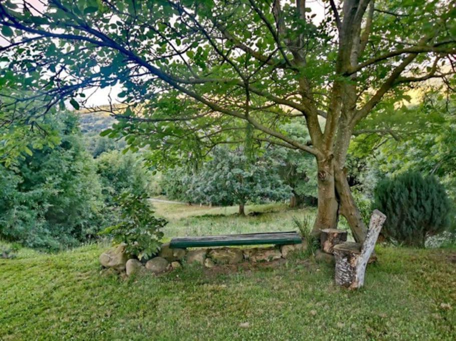 La Flor De Toranzo "Vive Los Valles Pasiegos" Prases Εξωτερικό φωτογραφία