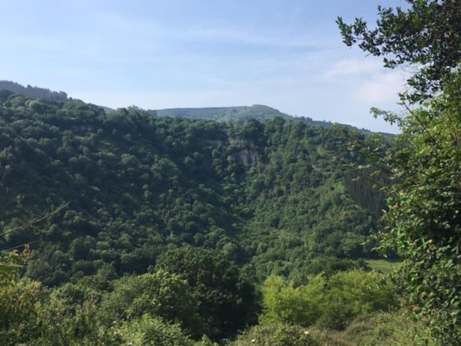 La Flor De Toranzo "Vive Los Valles Pasiegos" Prases Εξωτερικό φωτογραφία
